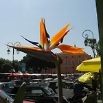 ホテル デュ ゴルフ
