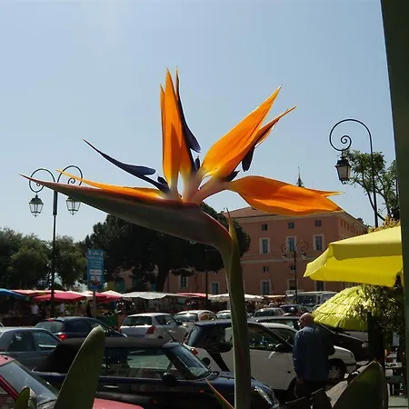 Hotel Du Golfe